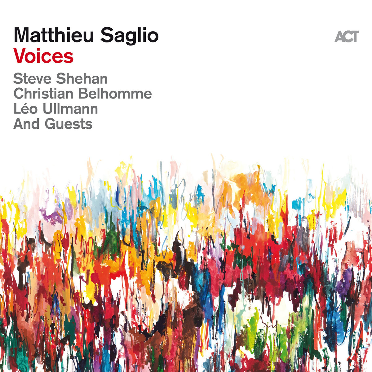 Matthieu Saglio – Voices