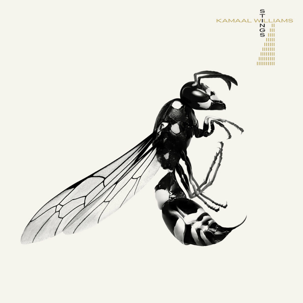 Kamaal Williams – Stings