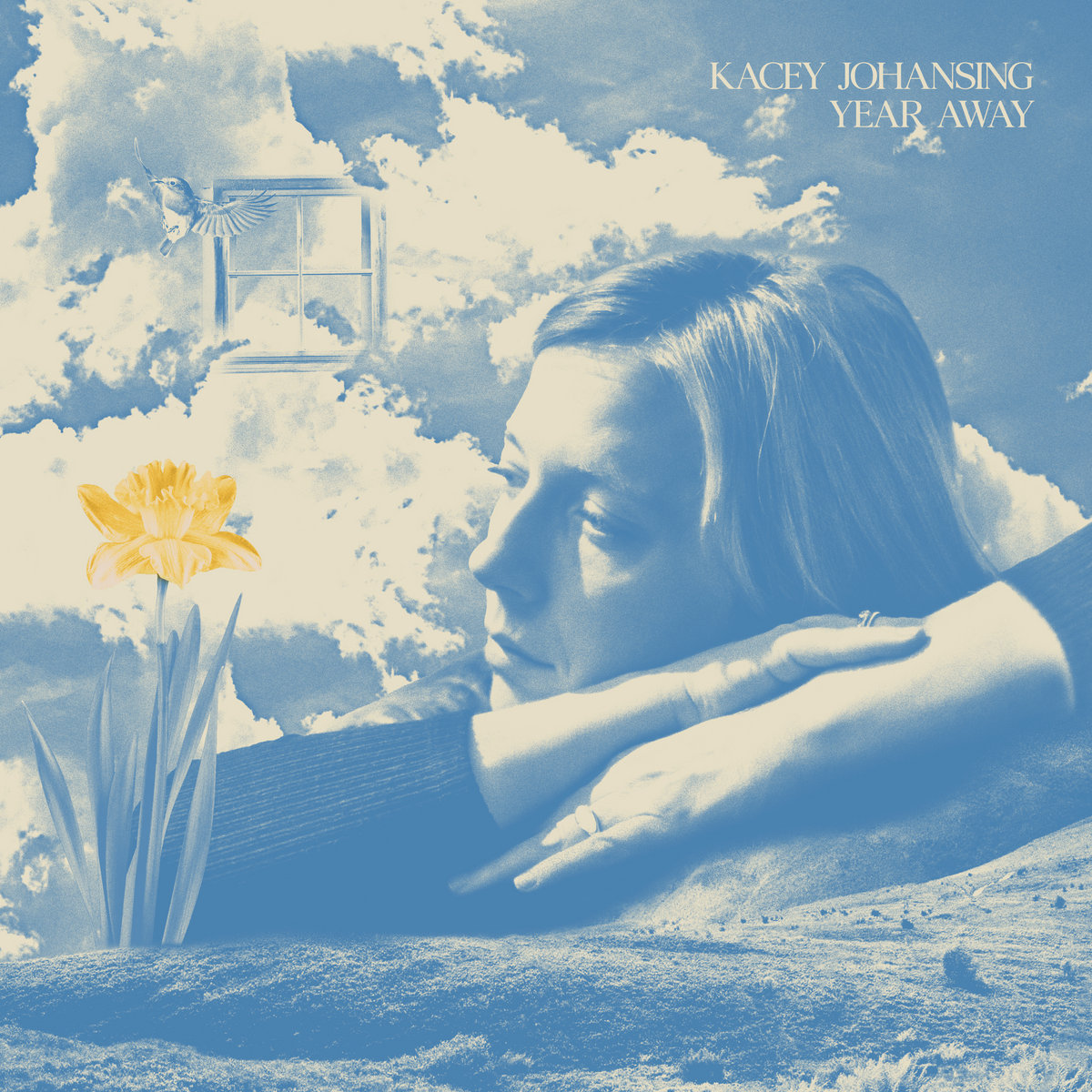 Kacey Johansing – Year Away