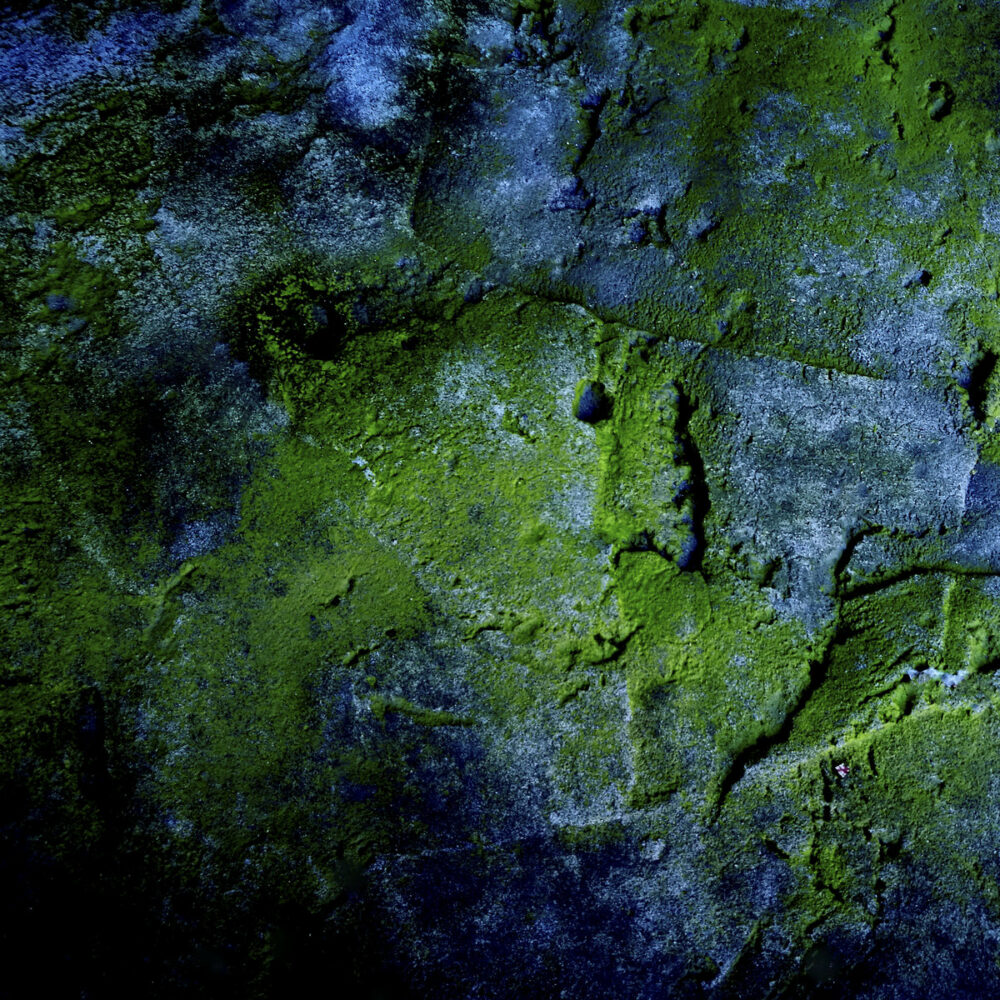 David Cordero & Carlos Ferreira - Silent Articulations