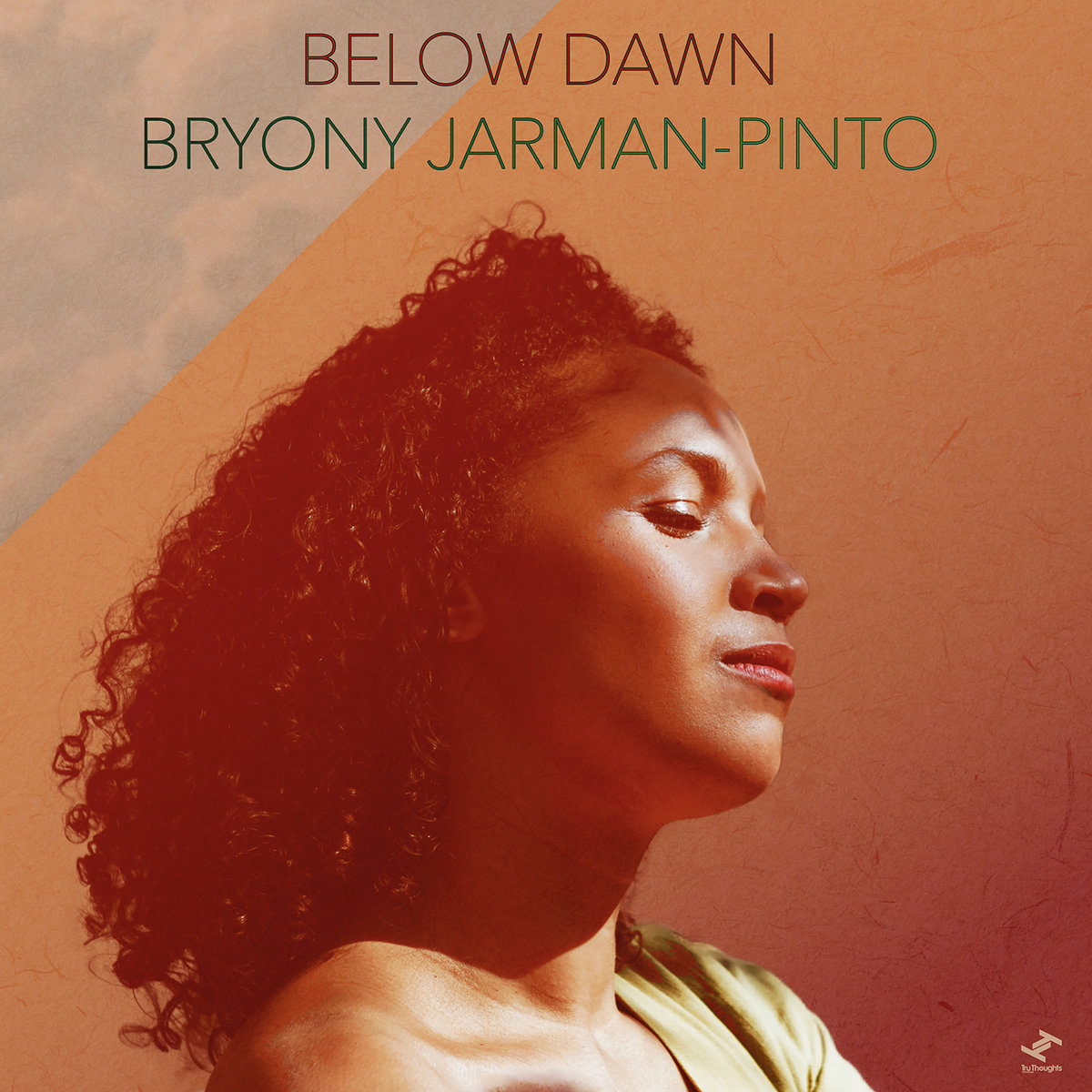 Below-Dawn-Bryony-Jarman-Pinto