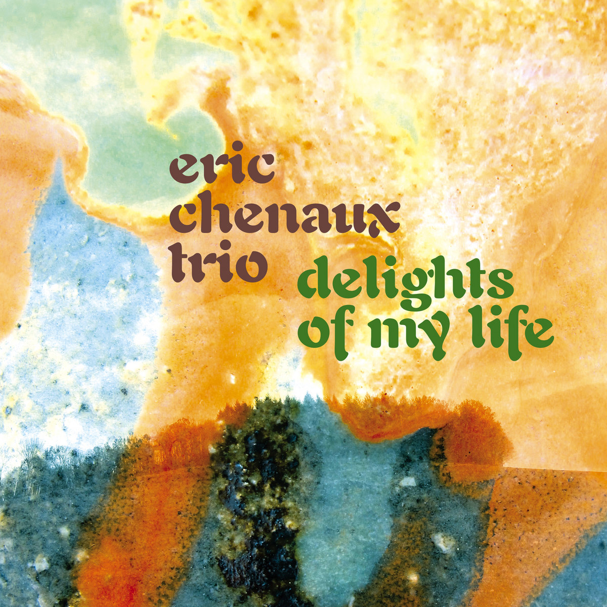 Eric Chenaux Trio – Delights Of My Life