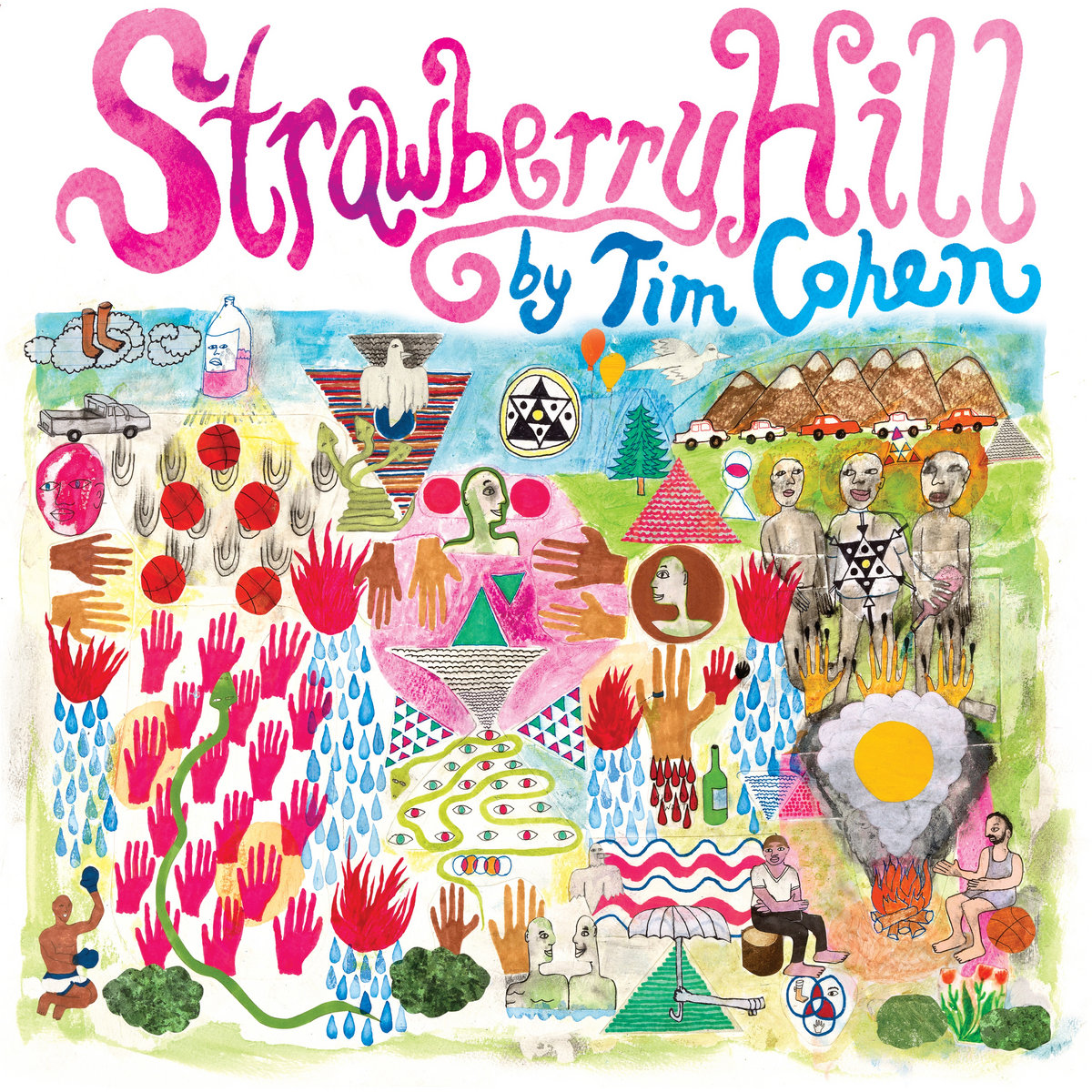 Tim Cohen – Strawberry Hill