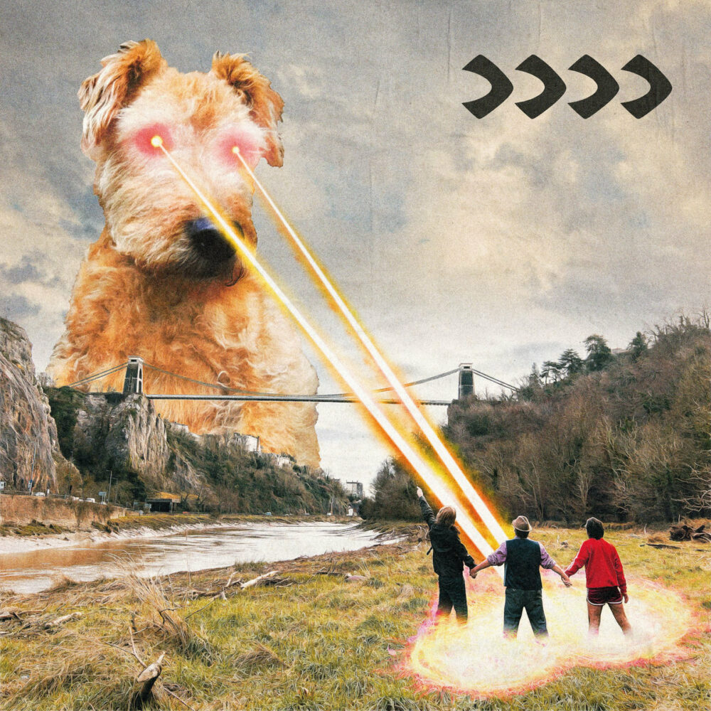 beak-4