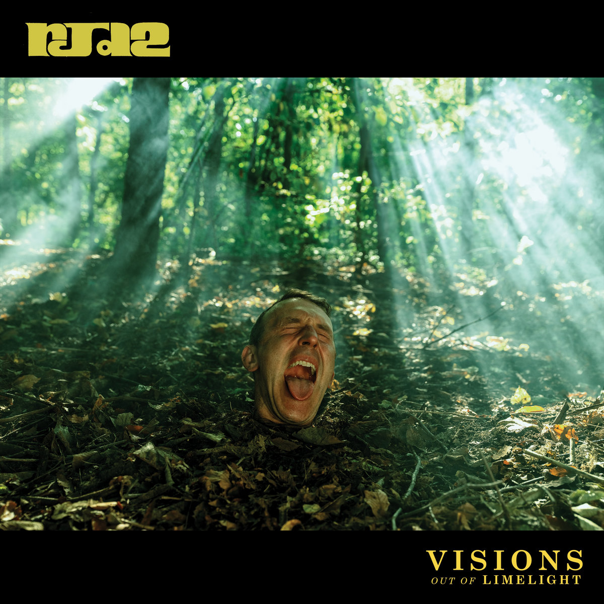 RJD2-visions
