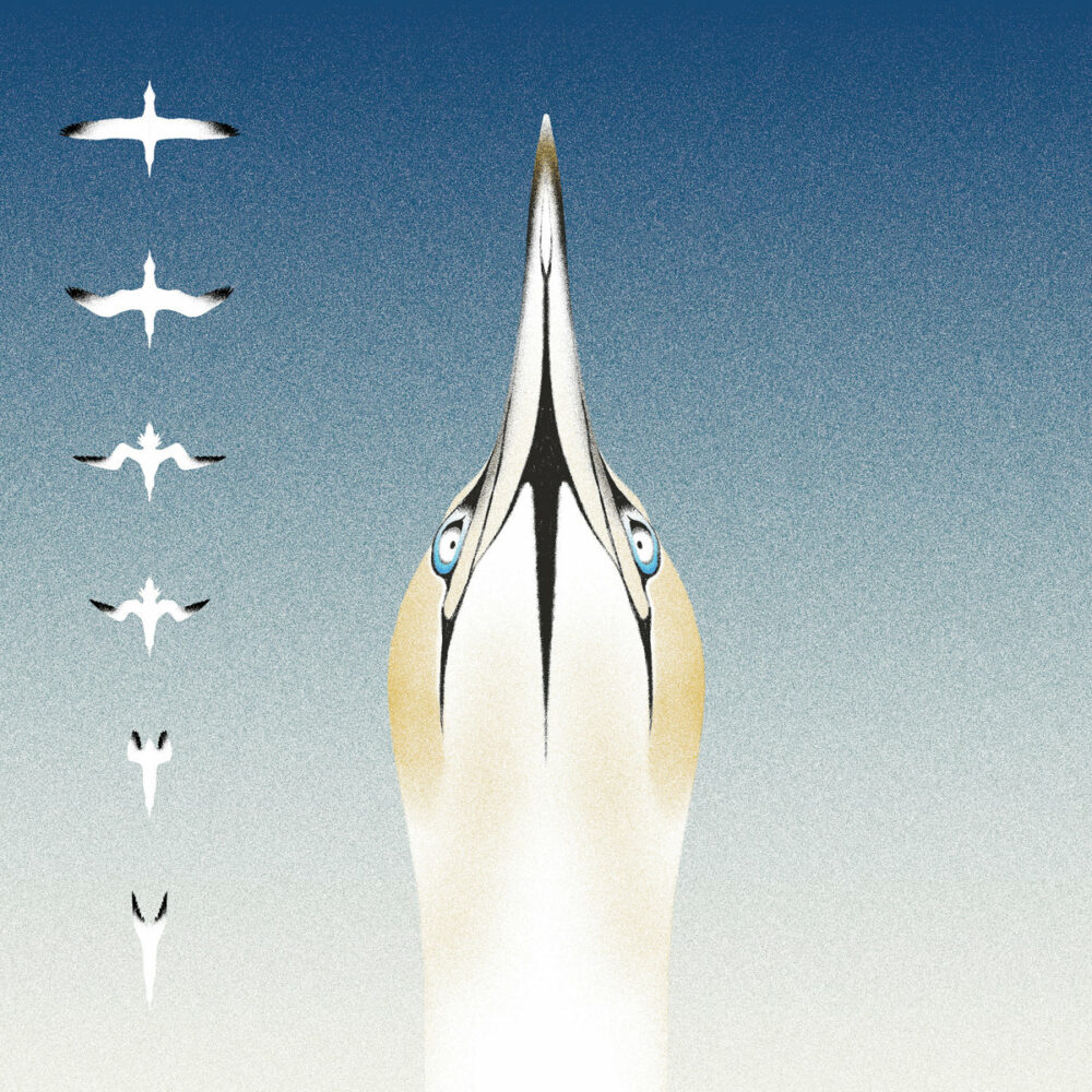 Christophe Panzani & 20syl – Sula Bassana
