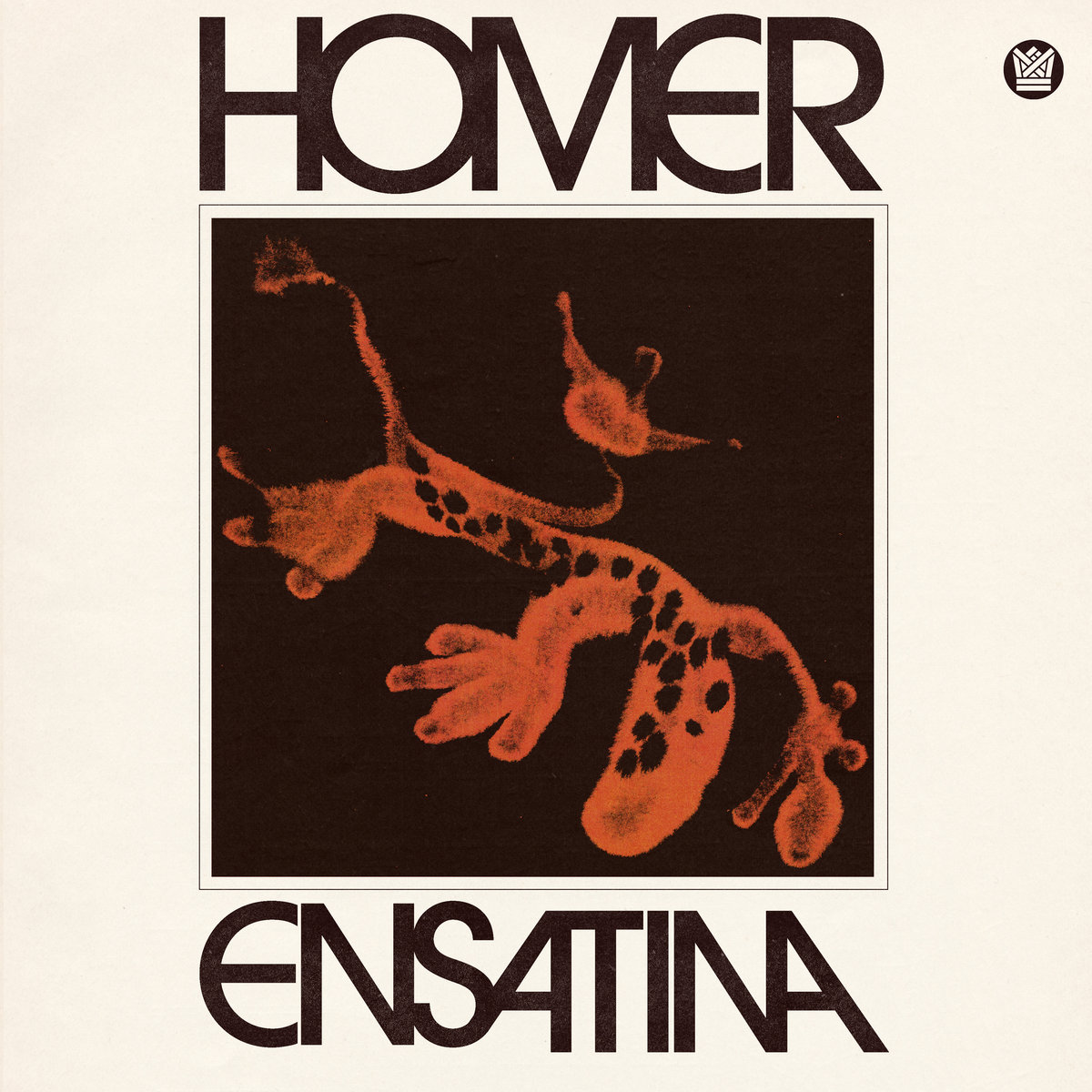 Homer-ensatina