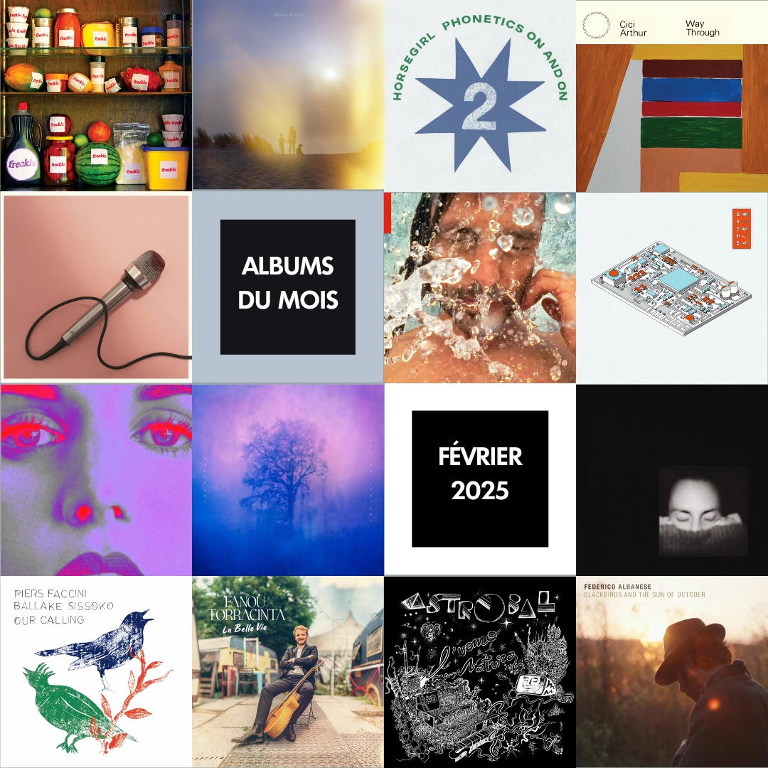 albums-du-mois-fevrier-2025