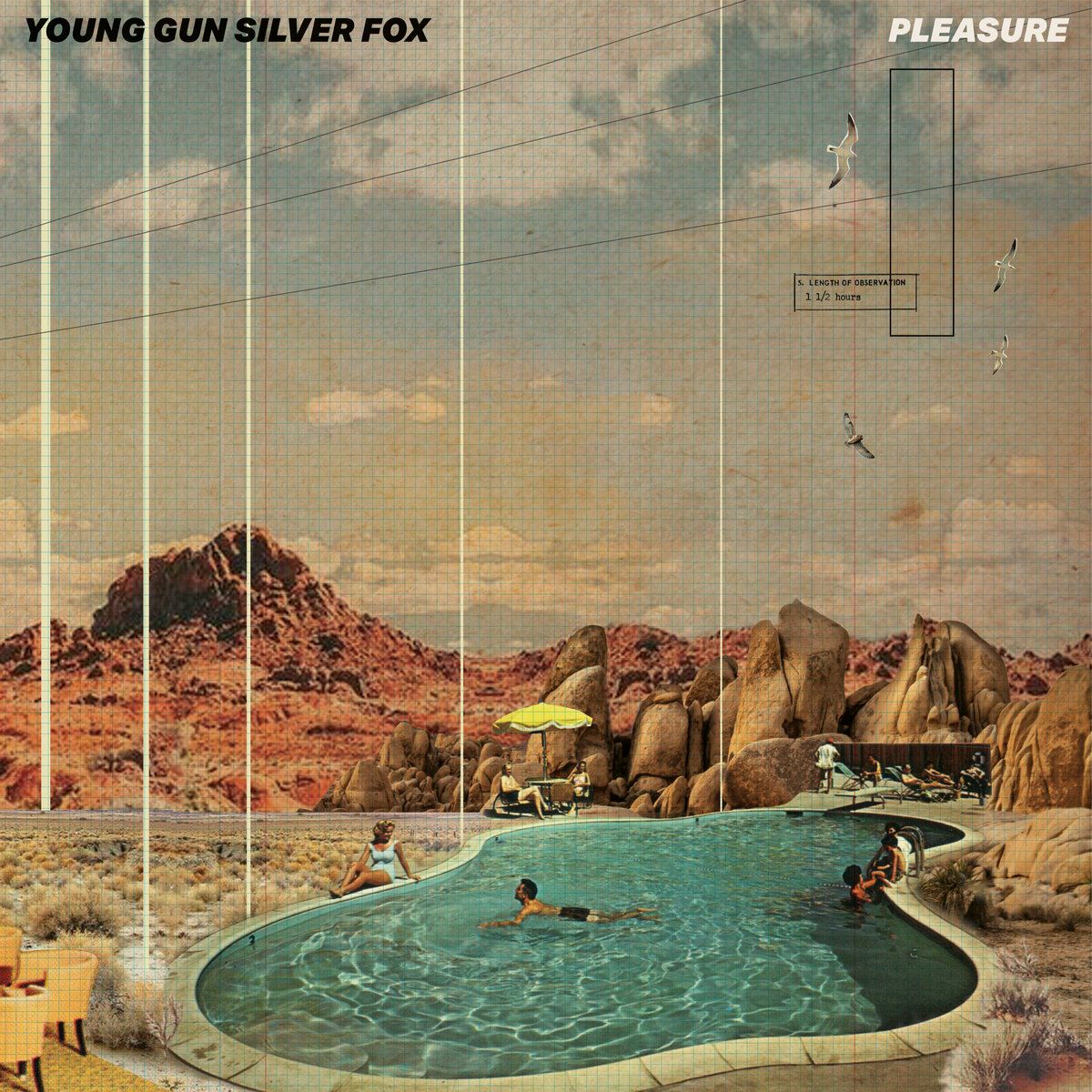 Young-Gun-Silver-Fox-pleasure