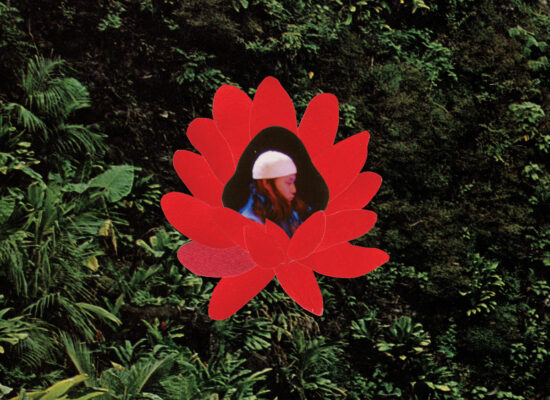 Lionmilk – When The Flowers Bloom