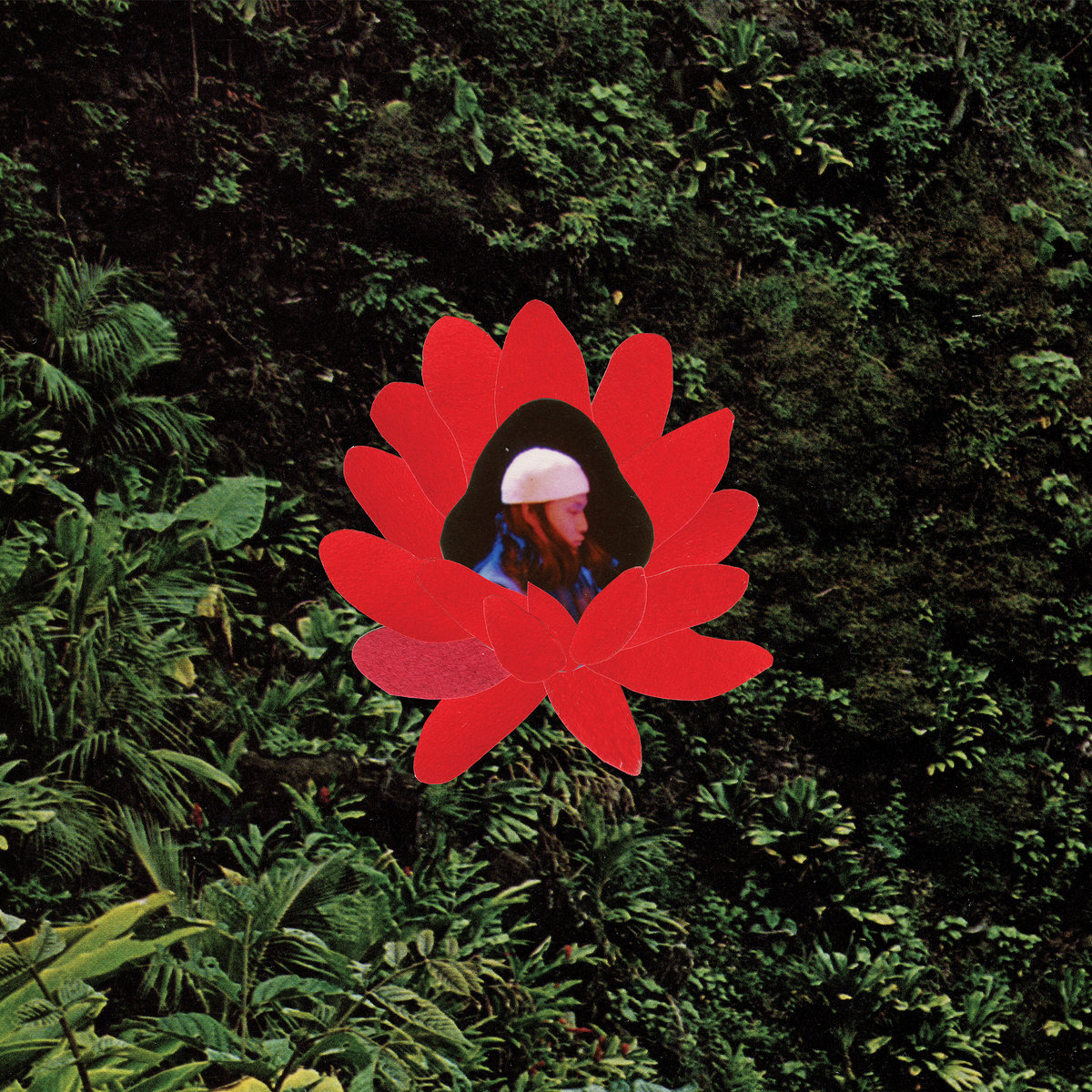 Lionmilk – When The Flowers Bloom