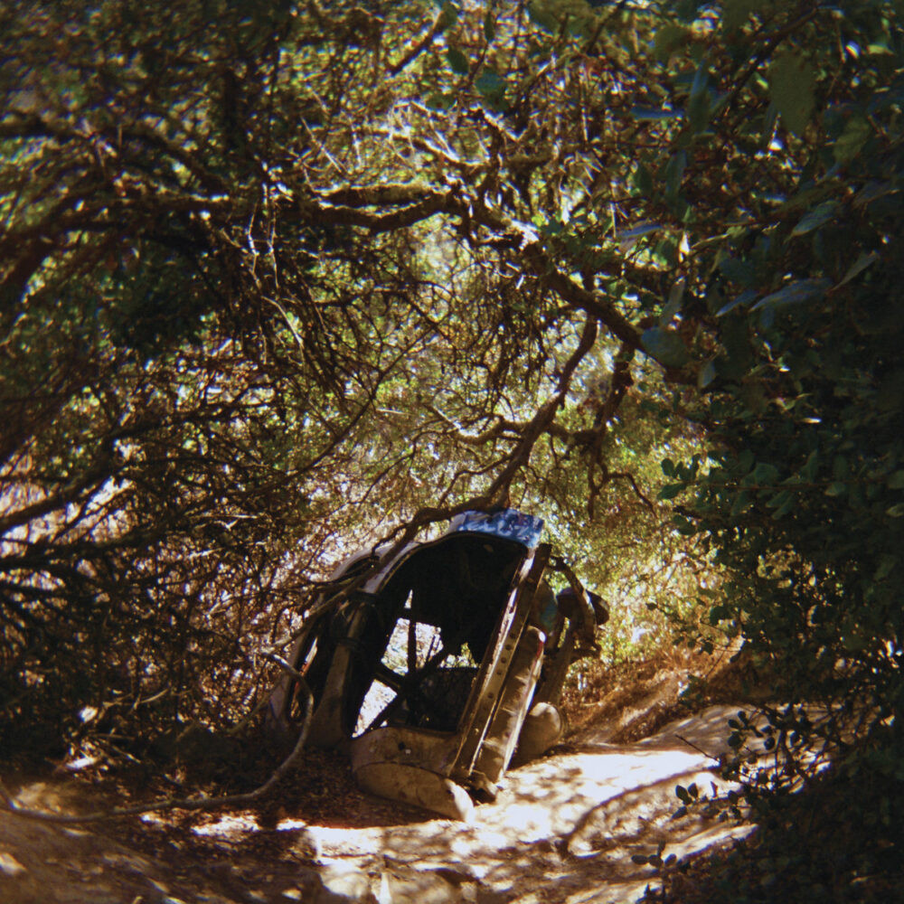 Ty Segall – Possession