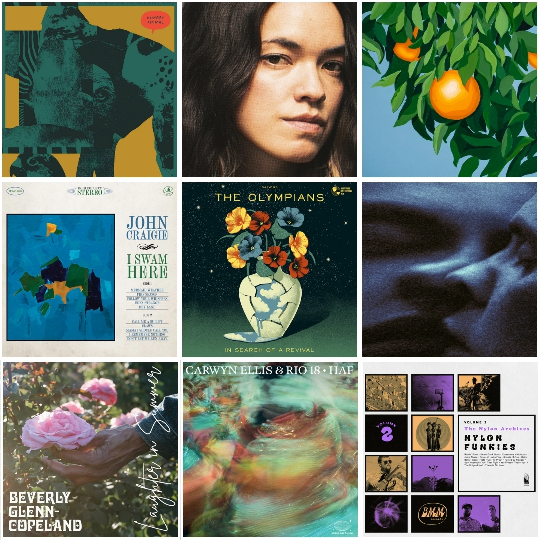 albums-du-mois-fevrier-2026