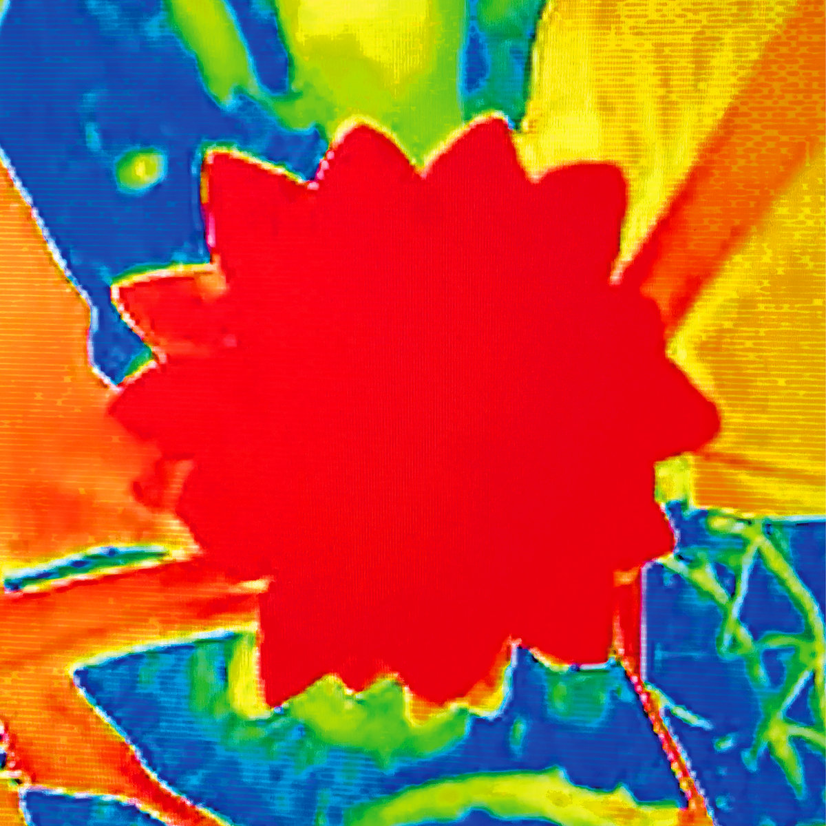 Turzi Gage – Drop!