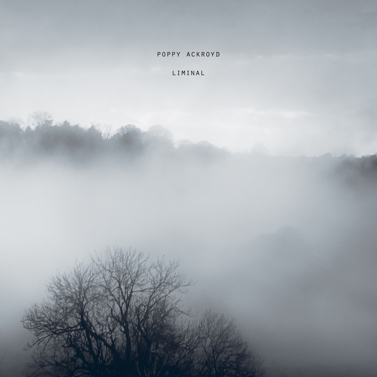 Poppy Ackroyd – Liminal