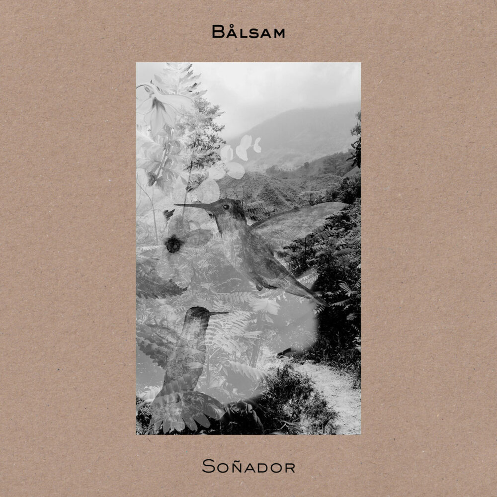 Bålsam – Soñador