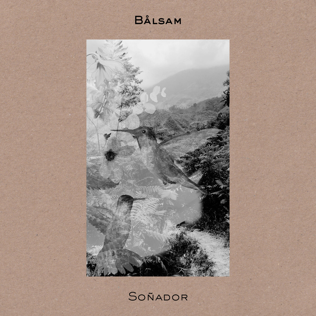 Bålsam – Soñador