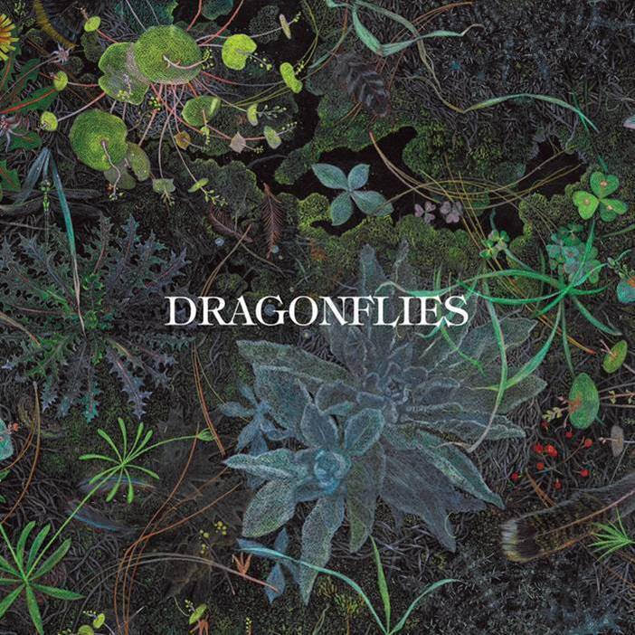 Dragonflies – Dragonflies