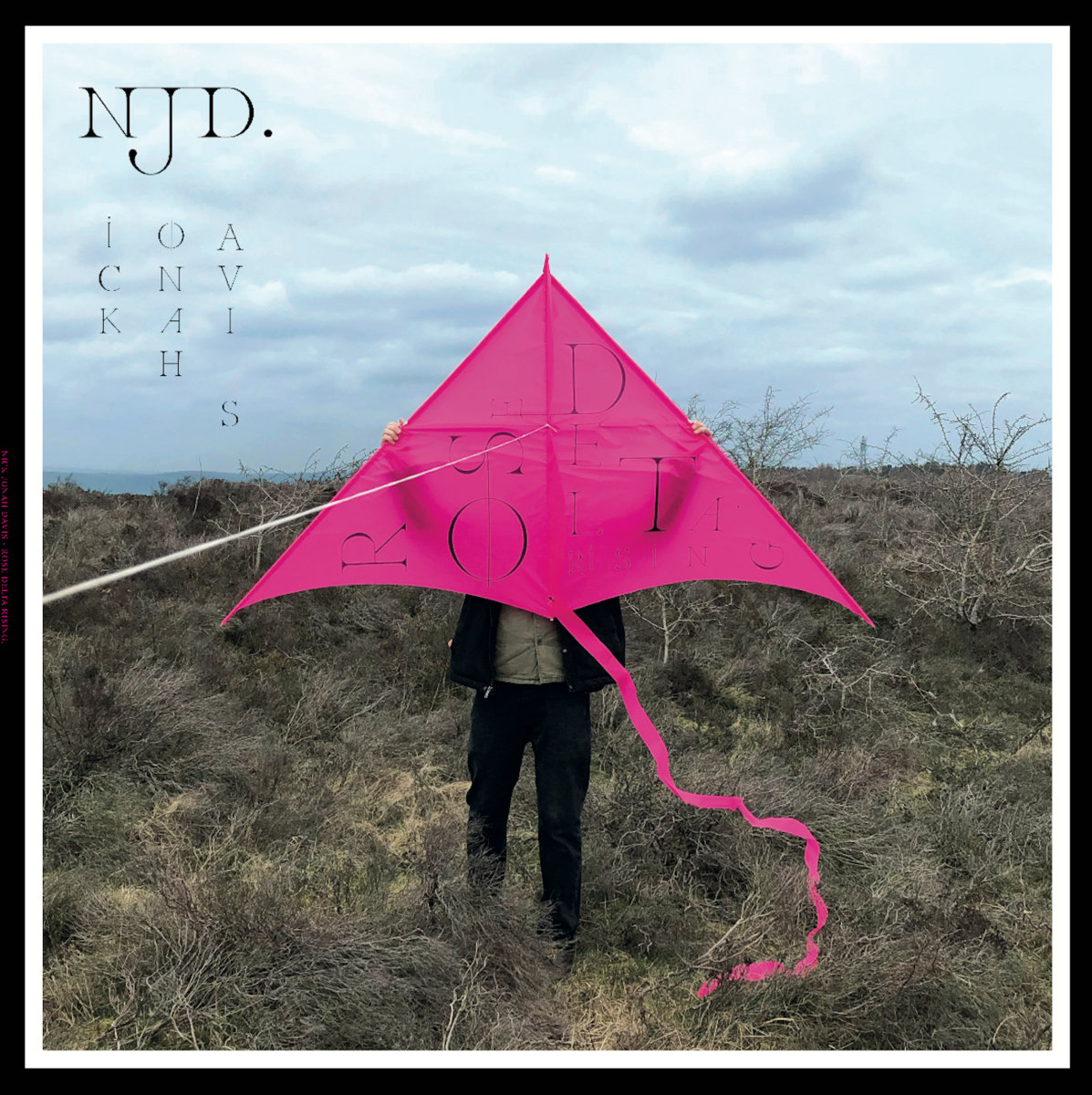 Nick Jonah Davis – Rose Delta Rising