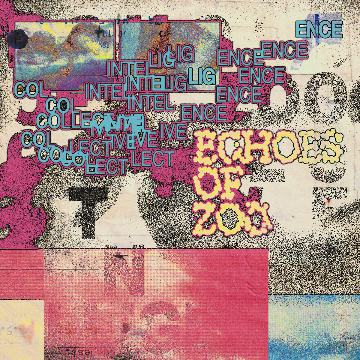 Echoes-of-Zoo-Collective-Intelligence